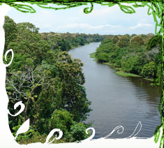 Rio Aria, Amazonas