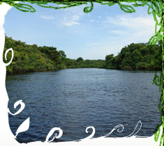 Afluente do Rio Negro, Amazonas